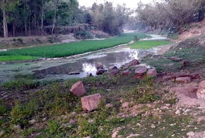 বেলান নদী এখন ইরি-বোরো চাষের ক্ষেত!