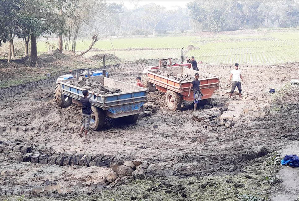 চাঁদপুরে ফসলি জমির উর্বর মাটি ইটভাটায়