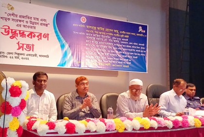 ঝালকাঠিতে দেশীয় প্রজাতির মাছ-শামুক সংরক্ষণে উদ্বুদ্ধকরণ সভা