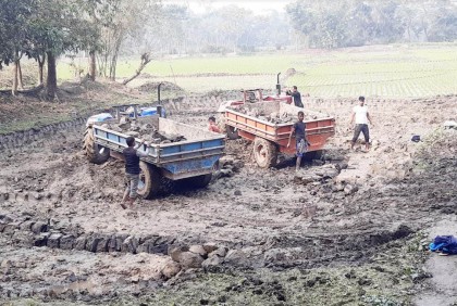 চাঁদপুরে ফসলি জমির উর্বর মাটি ইটভাটায়