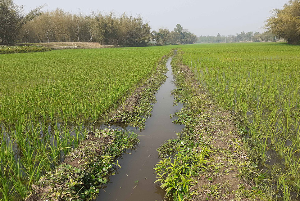 চেনাই যায় না এটি নদী
