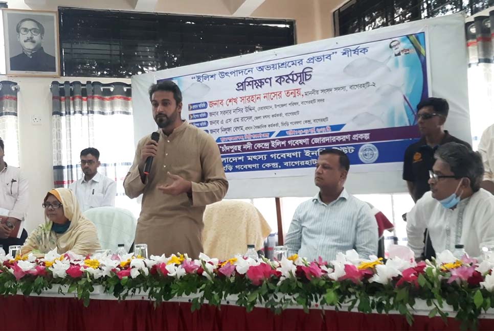 ইলিশ উৎপাদন ও গলদা চিংড়ির হ্যাচারি নির্মাণ বিষয়ে কর্মশালা