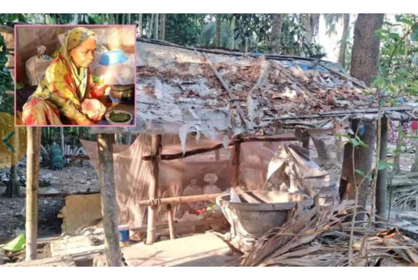রায়পুরে প্রতিবেশির গোয়াল ঘরে ঠাঁই হলো বৃদ্ধার