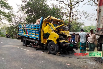 মেহেরপুরে সাত-সকালে সড়কে গেল দুই প্রাণ
