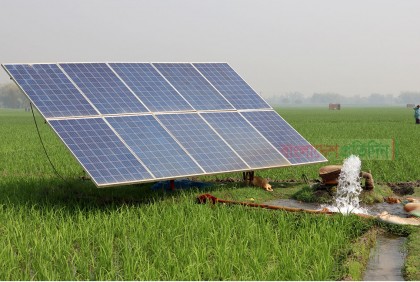 বোরো উৎপাদন খরচ কমাতে জনপ্রিয় সোলার সেচ পাম্প