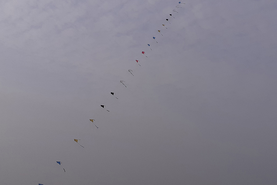 মাগুরায় ঘুড়ি উৎসব