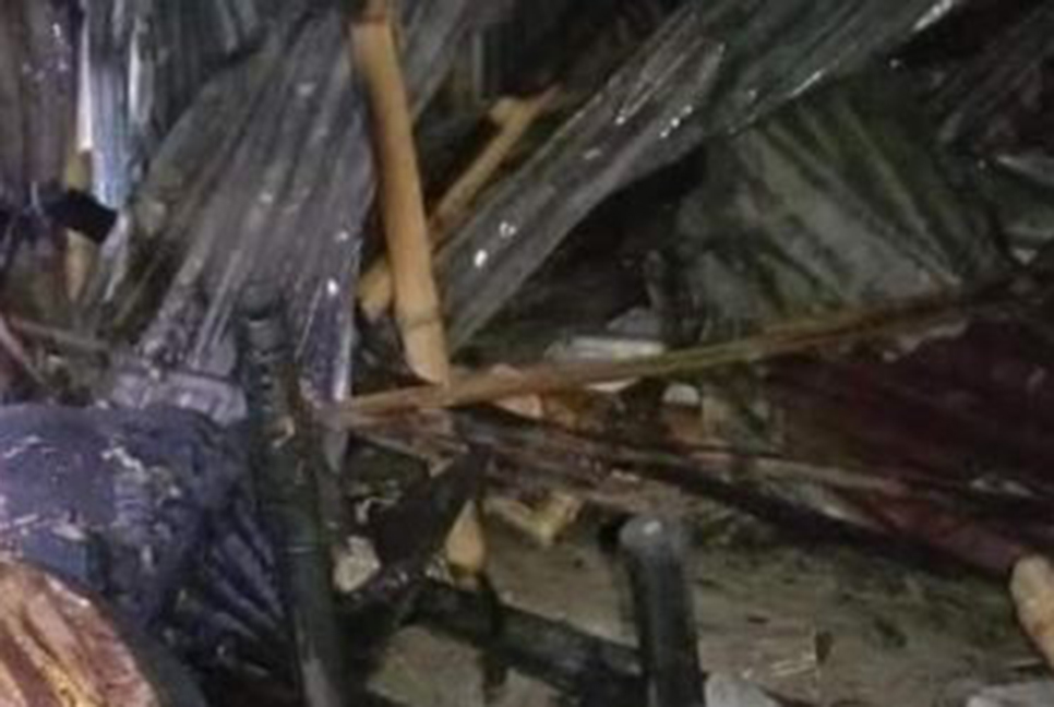 দিনাজপুরে আগুনে গরু ও বসতঘর পুড়ে ছাই 