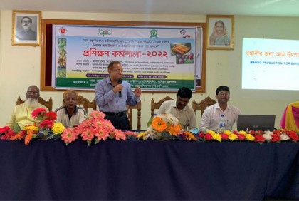 চাঁপাইনবাবগঞ্জে নিরাপদ আম উৎপাদন বিষয়ক প্রশিক্ষণ কর্মশালা
