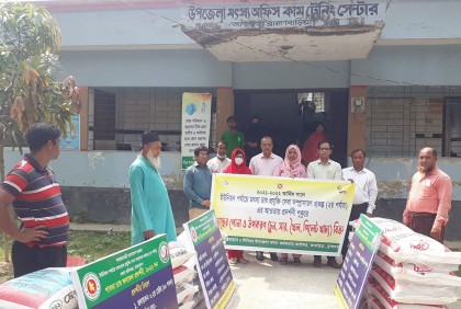 আখাউড়ায় মাছের পোনা ও খাদ্য উপকরণ বিতরণ