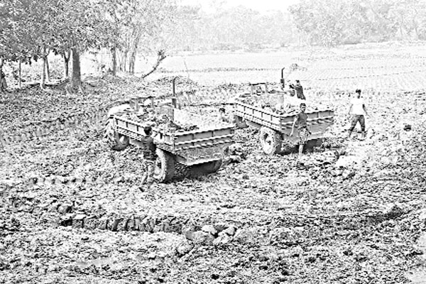 ফসলি জমির মাটি ইটভাটায়