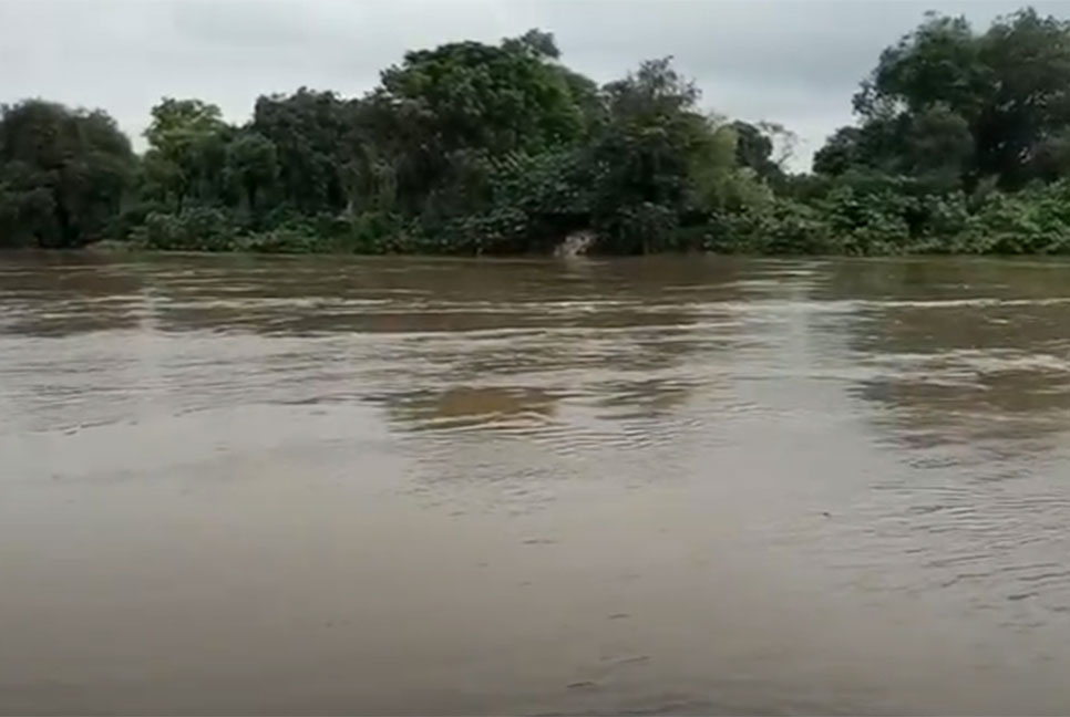 ধর্ষণকারীর শিরশ্ছেদ করে নদীতে ভাসিয়ে দিলেন বাবা ও মামা