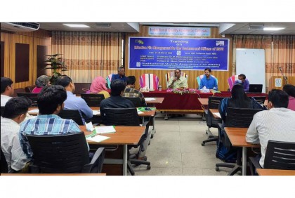 হাবিপ্রবিতে অফিসারদের 
প্রশিক্ষণ কর্মশালা 