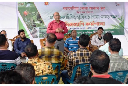 শ্রীমঙ্গলে চা উৎপাদন ও মানোন্নয়নে কর্মশালা 