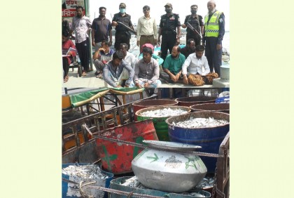 বরিশালে ৫০ মন জাটকা জব্দ, আটক ১০