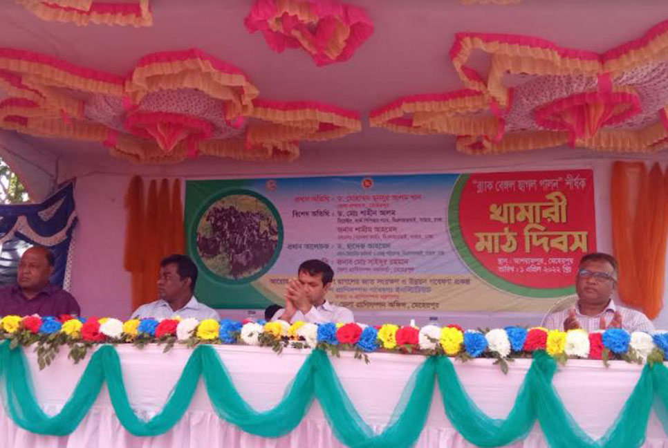 মেহেরপুরে মাঠ দিবস অনুষ্ঠিত