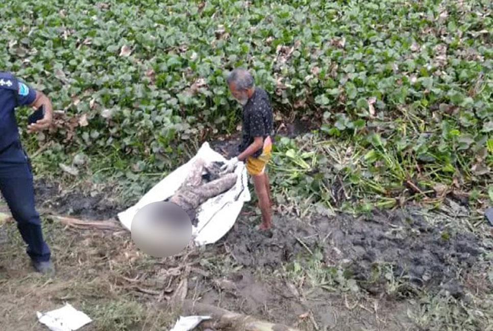 নিখোঁজের আড়াই মাস পর অটোচালকের গলিত লাশ মিলল নদীতে