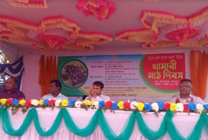 মেহেরপুরে মাঠ দিবস অনুষ্ঠিত