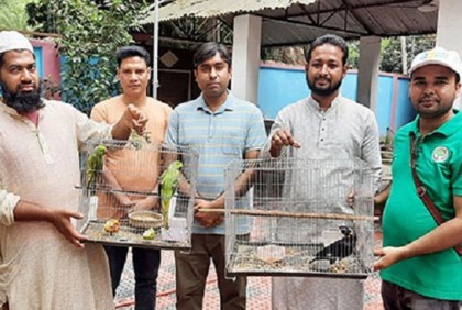 ক্রেতা সেজে পাখি বিক্রেতাকে আটক