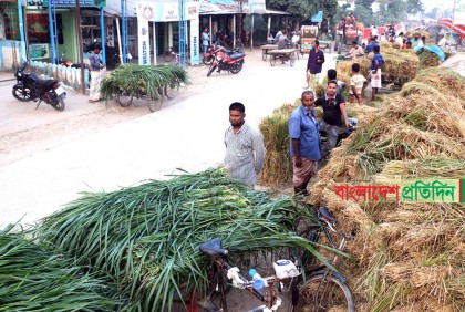 সড়কে ঘাস-খড়ের বাজার, চলাচলে দুর্ভোগ