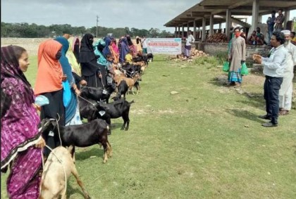 
বিকল্প কর্মসংস্থানে কলাপাড়ায় ৪৭ জন নারী পেল সহায়তা
