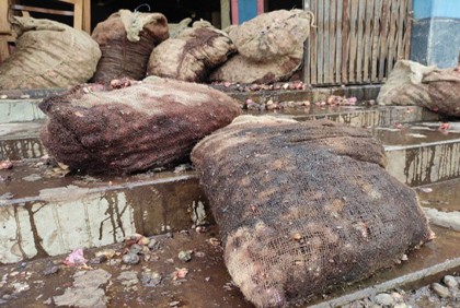 হিলিতে নষ্ট হচ্ছে পিয়াজ, কেজি ২ টাকা

