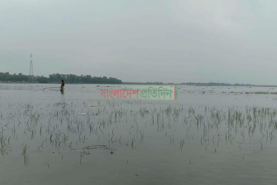 এপ্রিলেই তিস্তায় বন্যা, দেখা দিয়েছে ভাঙ্গন