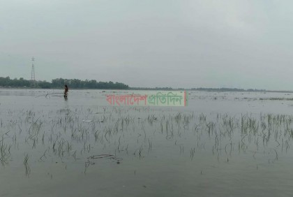 এপ্রিলেই তিস্তায় বন্যা, দেখা দিয়েছে ভাঙ্গন