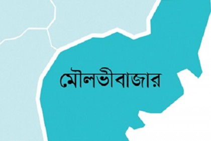কুলাউড়ায় এনআইডি সংশোধনে ভোগান্তি, অফিস সহকারী বদলি