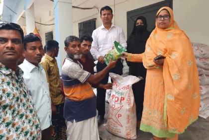 নাটোরে বীজ ও সার পেলেন দুই হাজার ৬০০ পাট চাষী