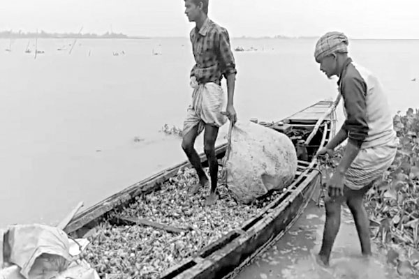 অসময়ে তিস্তা ধরলা ব্রহ্মপুত্রে পানি বৃদ্ধি, দুশ্চিন্তায় কৃষক
