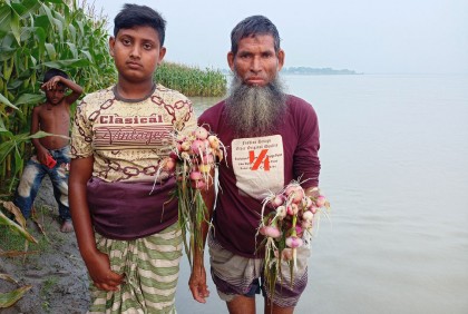 ফসল হারিয়ে দুশ্চিন্তায় তিস্তাপারের হাজারও কৃষক