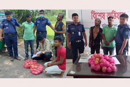 ওপরটা মাল্টা ভেতরে গাঁজা!