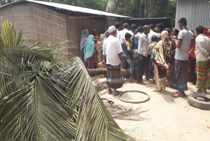 কিস্তির টাকা নেওয়ার সময় গাছ চাপায় এনজিও কর্মীর মৃত্যু
