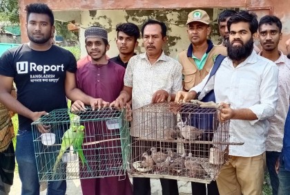 বন্দিদশা থেকে মুক্ত পেল ২৩ পাখি