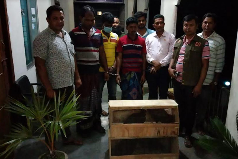 মেহেরপুরে আমেরিকান শকুনসহ আটক ৩