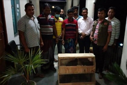 মেহেরপুরে আমেরিকান শকুনসহ আটক ৩