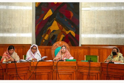 মাতৃত্বকালীন মাসিক ভাতা ১ হাজার টাকা করার সুপারিশ

