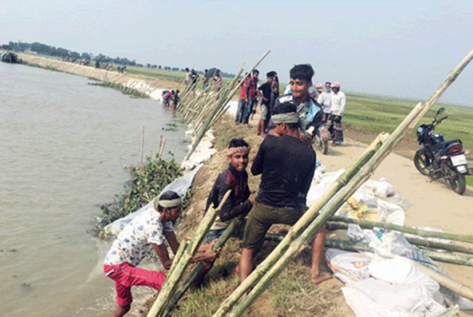 সুনামগঞ্জে হাওরের ফসল রক্ষায় কৃষকদের আপ্রাণ চেষ্টা

