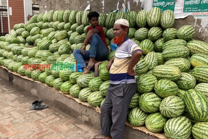 নেত্রকোনায় তরমুজ পিস হিসাবে বিক্রির সিদ্ধান্ত 


