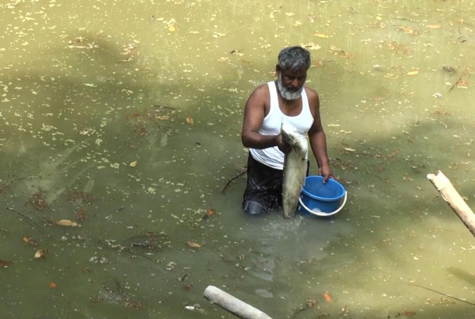 ফরিদপুরে মাছের সাথে শত্রুতা!