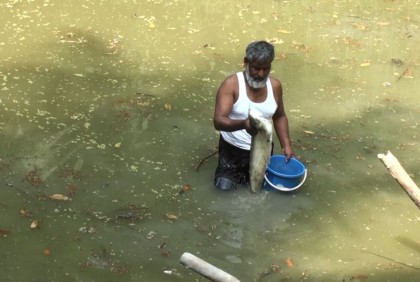 ফরিদপুরে মাছের সাথে শত্রুতা!