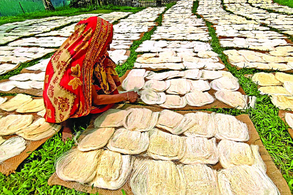 বগুড়ার সাদা সেমাইয়ের চাহিদা দেশজুড়ে