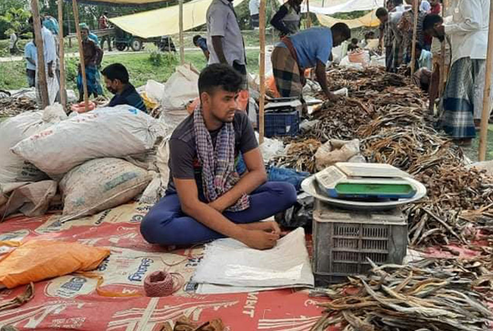 নাসিরনগরে দিনব্যাপী শুঁটকি মেলা