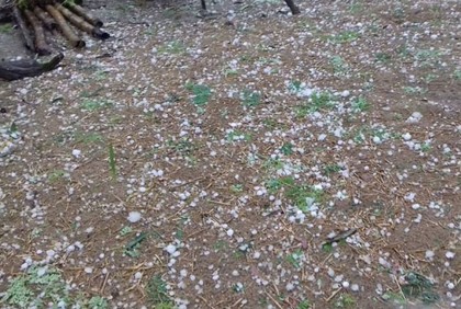 ঝড়-শিলাবৃষ্টি হতে পারে যেসব জায়গায়