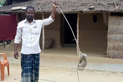 বিপন্ন প্রজাতির লজ্জাবতী বানর উদ্ধার