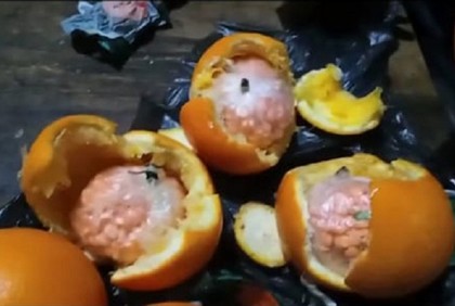 মাল্টার ভিতরে ইয়াবা, গ্রেফতার ১

