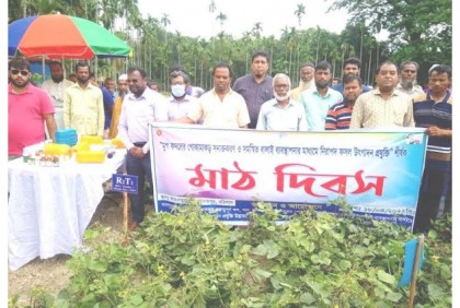 বরিশালে নিরাপদ মুগডাল উৎপাদন
বিষয়ক মাঠ দিবস অনুষ্ঠিত