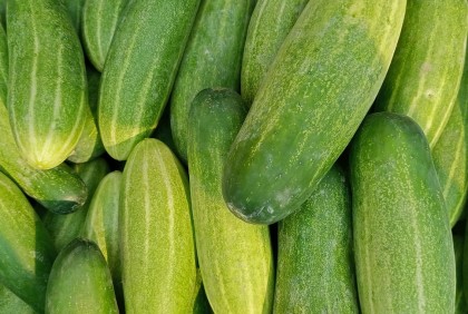 শেরপুরে শষার কেজি ৩ টাকা!