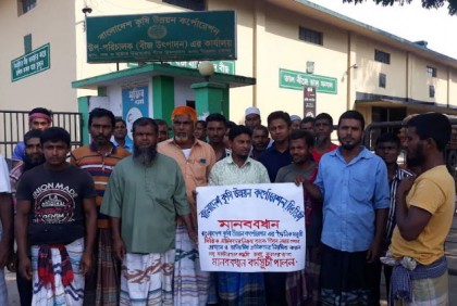 ঠাকুরগাঁওয়ে বিএডিসির শ্রমিকদের মানববন্ধন