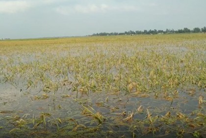 পানির নিচে কৃষকের স্বপ্ন